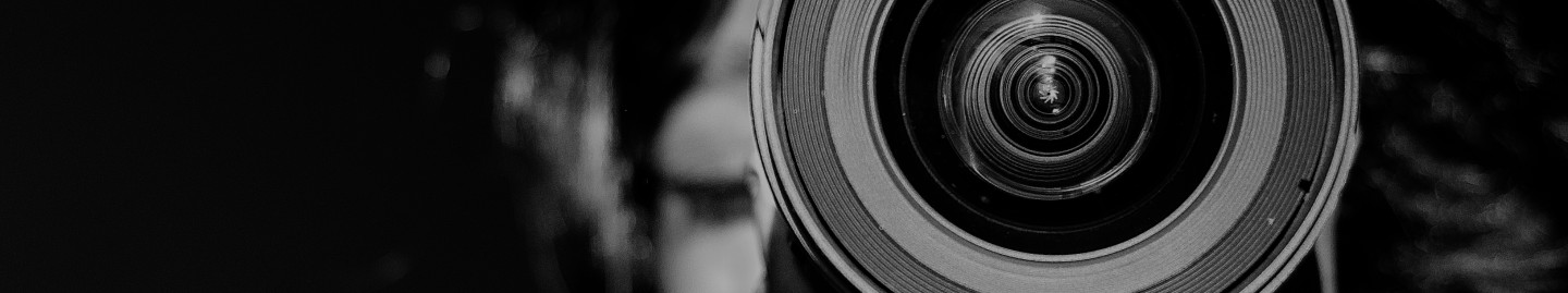 組み込みソフトウェア開発·評価/検証