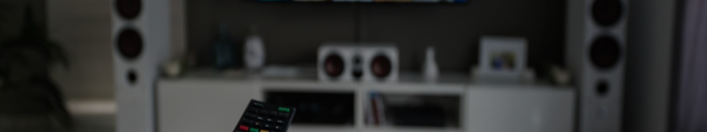 デジタルホーム エンターテイメント開発