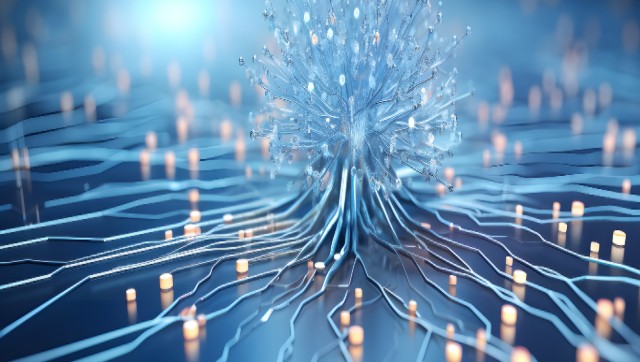 画質評価の実例